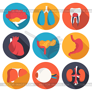 Set flat human organs icons concept - royalty-free vector clipart