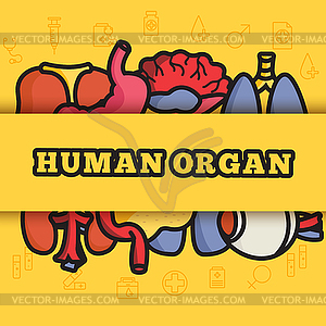 Set flat human organs icons concept - vector clipart