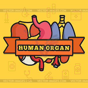 Set flat human organs icons concept - vector clip art