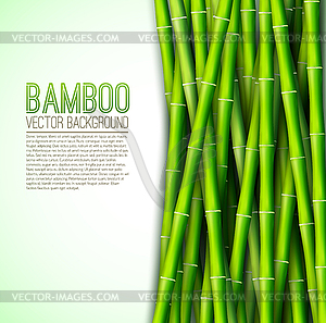 Bamboo background concept - vector clip art