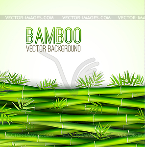 Bamboo background concept - vector image