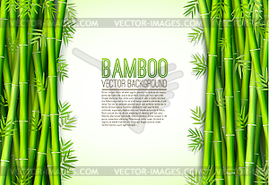 Bamboo background concept - vector clipart