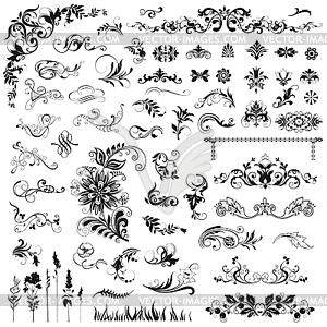 Set of vector floral elements - vector image