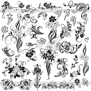 Set of vector floral elements - vector clipart