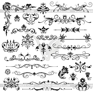 Set of vector floral elements for design - vector image