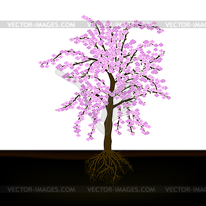 Cherry tree - vector image