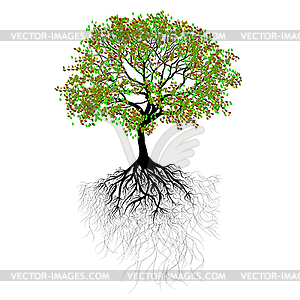 Beautiful tree - vector image