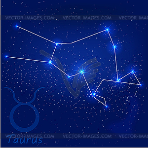 Constellation taurus - vector clipart