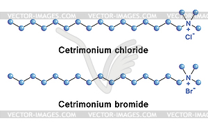 Cetrimonium - vector image