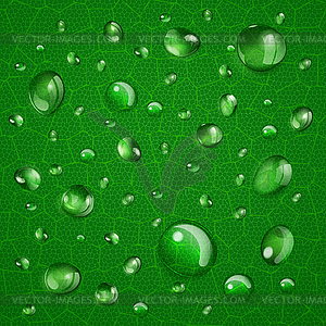 Background with drops on green leaf - royalty-free vector clipart