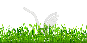 Seamless grass - vector clip art