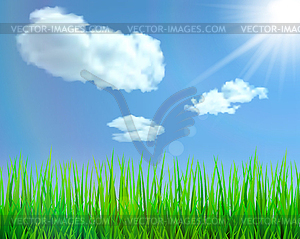 Nature background - vector image