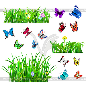 Green grass and butterflies - royalty-free vector clipart