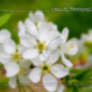 Spring background - vector clipart