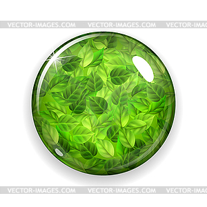 Glass button or sphere with green leaves - vector clip art