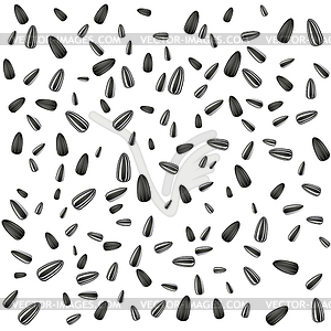 Sunflower seed - vector image