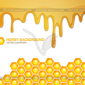 Honeycomb with honey. background - vector clip art