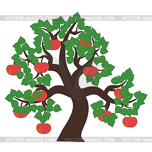 Apple tree on white background - vector clipart