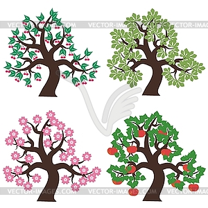 Four trees on white background - vector clip art