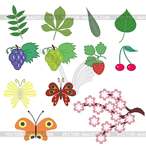 Set with nature objects - vector image