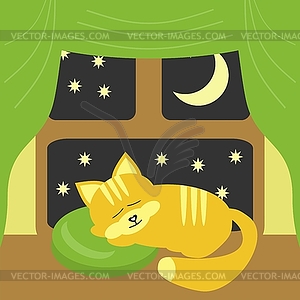 Nice sleeping cat near the window - vector image