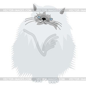 Persian cat on white background - vector clip art