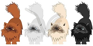 Four persian cats on whitte background - vector clipart