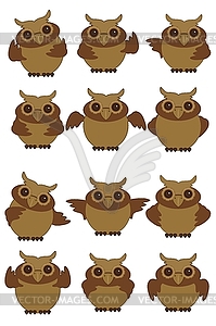 Nice owls in different position - vector clipart