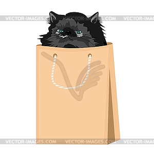 Nice persian cat in paper bag - vector EPS clipart