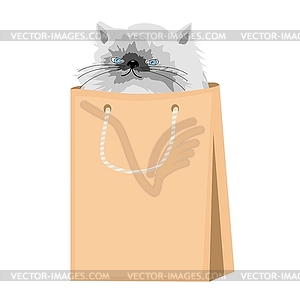 Nice persian cat in paper bag - vector clipart