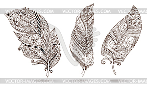 Artistically drawn, stylized, feathers - vector image