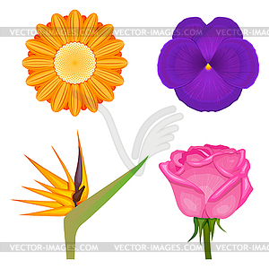 Solid colors flowers set - vector image