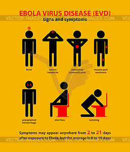 Ebola symptoms infographic - vector clipart