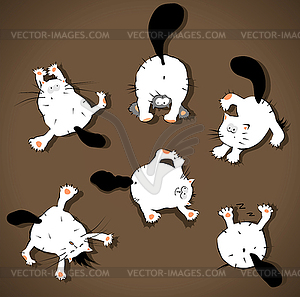 Funny cats - vector image