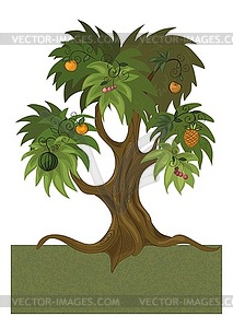 Fruit tree - vector image