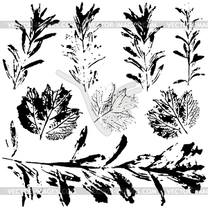 Set of prints black leaves - vector EPS clipart