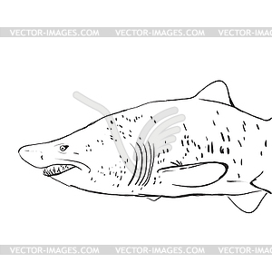 Great White Shark Underwater. Sketch. Black contour - vector image