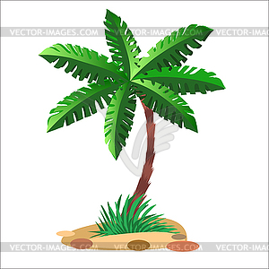Green Palm дерево на нейтральном фоне - клипарт в векторе / векторное изображение