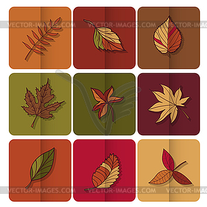 Autumn leaves icon. Red, yellow and green leaves - vector clipart