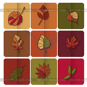 Autumn leaves icon. Red, yellow and green leaves - vector image