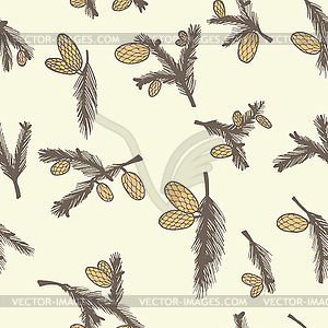Fir pine cone seamless pattern - vector clipart