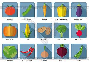 Растительное набор иконок. овощи символ - стоковое векторное изображение