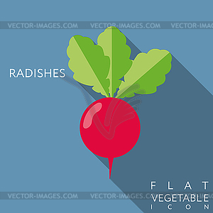 Radish flat icon with long shadow - color vector clipart