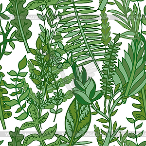 Herbal pattern - vector image