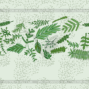 Herbal border pattern - vector clipart