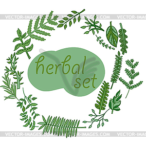 Herbal set, - vector image