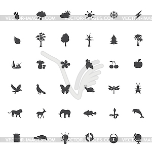 Eco icons set,  - white & black vector clipart