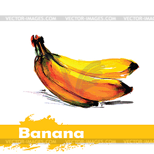 Акварель. фрукты банан - векторизованное изображение