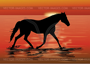 Silhouette of running horse on sunset - vector image