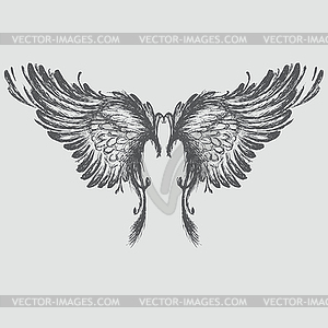 Wings  - vector image